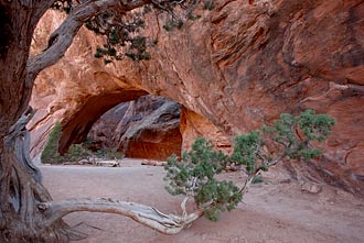 Navajo Arch